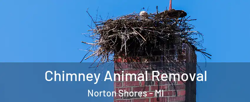 Chimney Animal Removal Norton Shores - MI