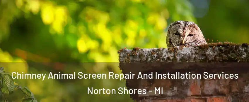  Chimney Animal Screen Repair And Installation Services Norton Shores - MI