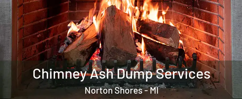  Chimney Ash Dump Services Norton Shores - MI