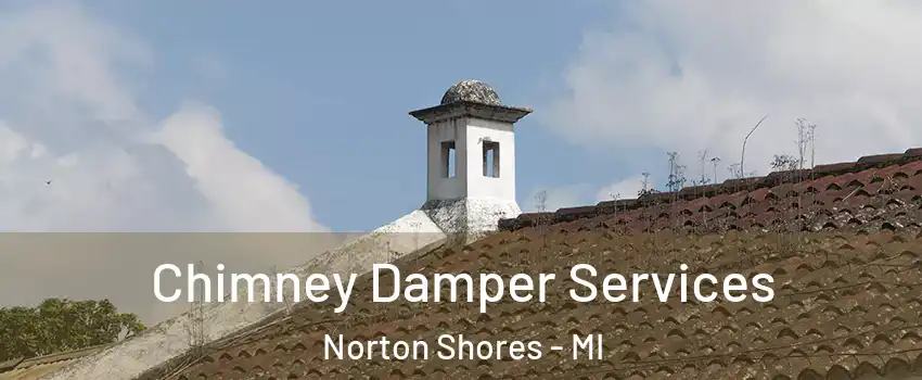  Chimney Damper Services Norton Shores - MI