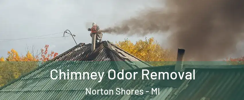  Chimney Odor Removal Norton Shores - MI