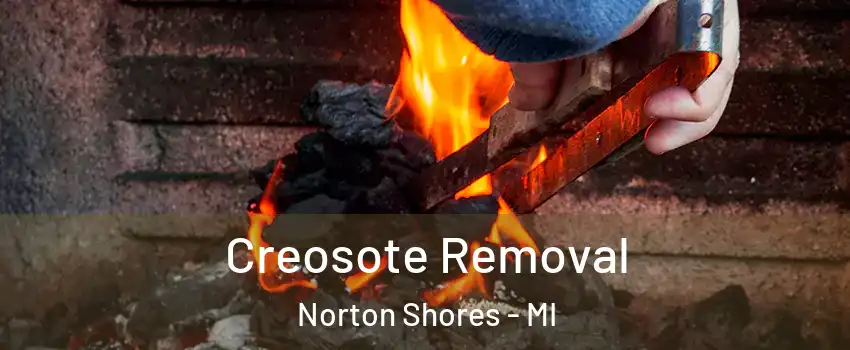  Creosote Removal Norton Shores - MI