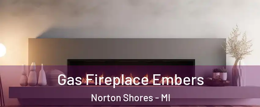  Gas Fireplace Embers Norton Shores - MI