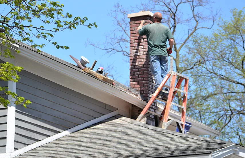 Chimney & Fireplace Inspections Services in Norton Shores, MI