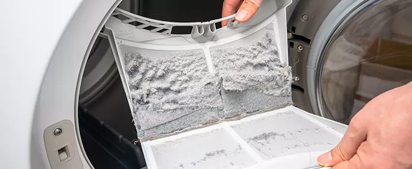 Best Dryer Lint Removal Company in Norton Shores, Michigan