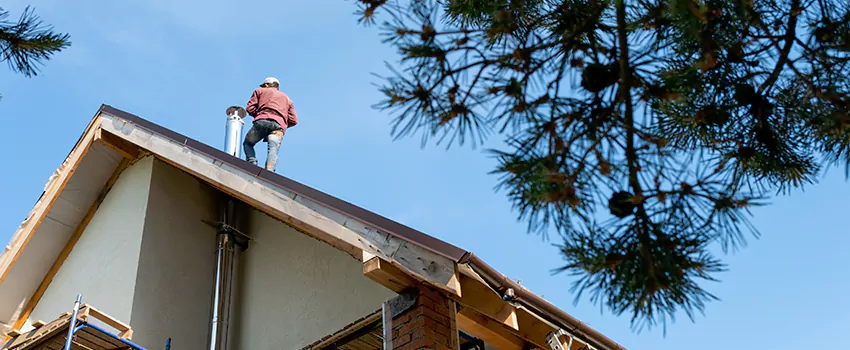 Birds Removal Contractors from Chimney in Norton Shores, MI