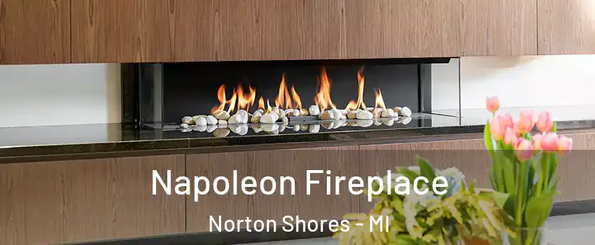  Napoleon Fireplace Norton Shores - MI