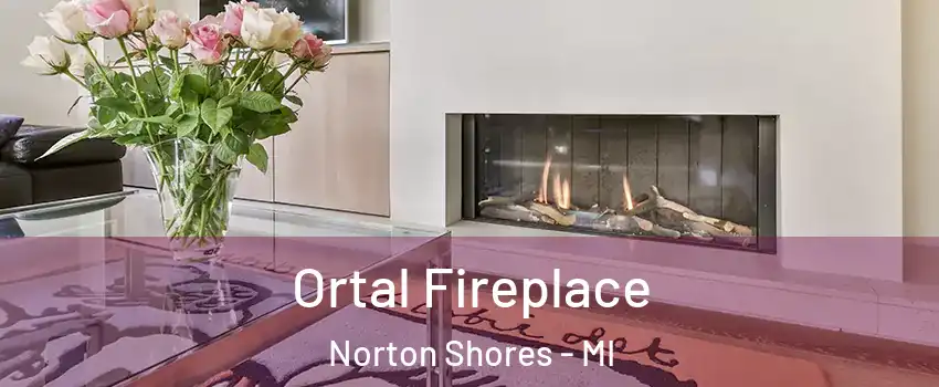  Ortal Fireplace Norton Shores - MI