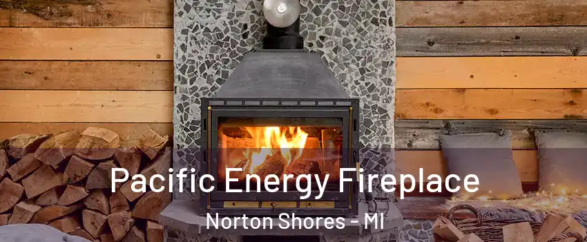  Pacific Energy Fireplace Norton Shores - MI